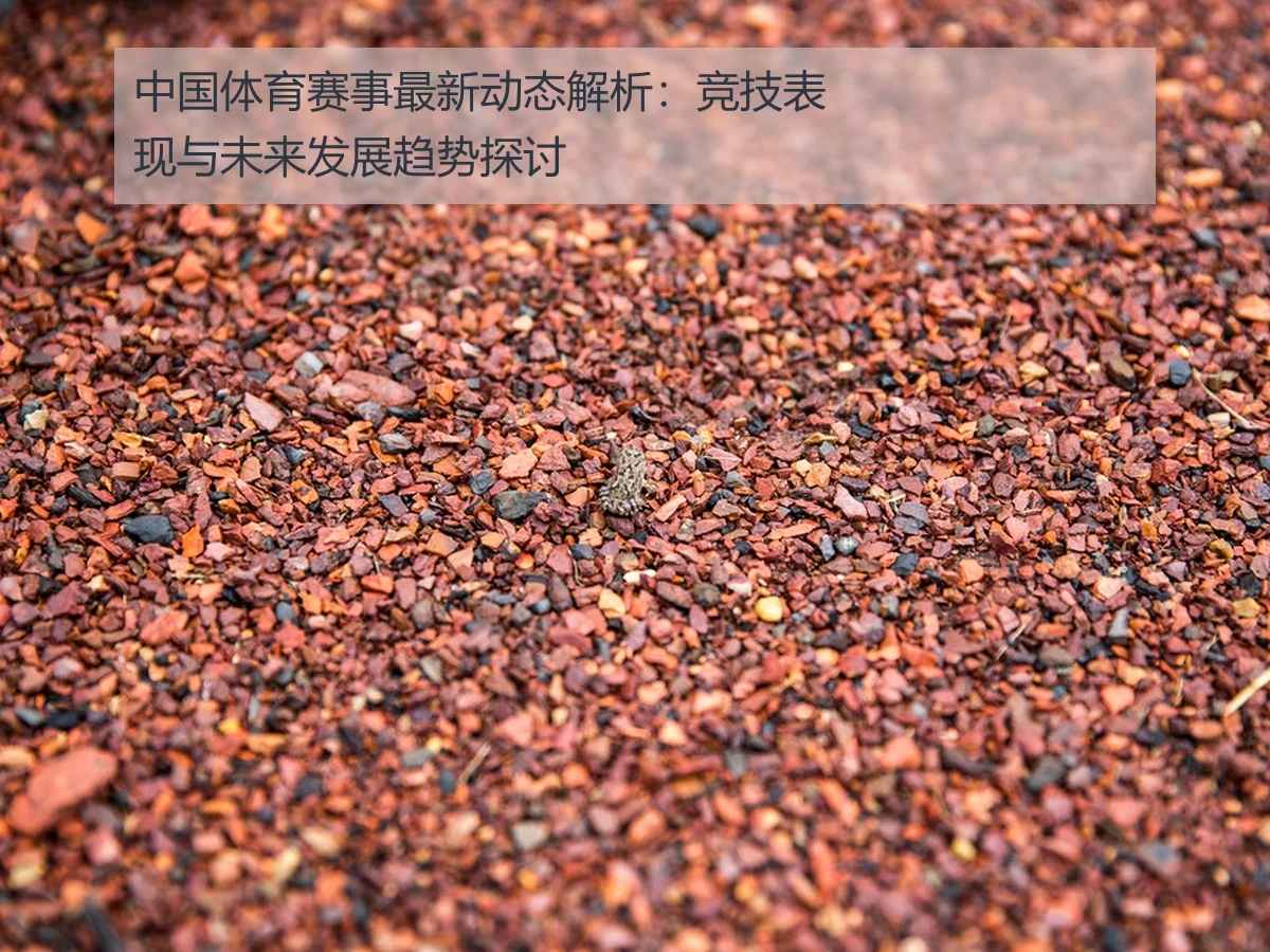 中国体育赛事最新动态解析：竞技表现与未来发展趋势探讨